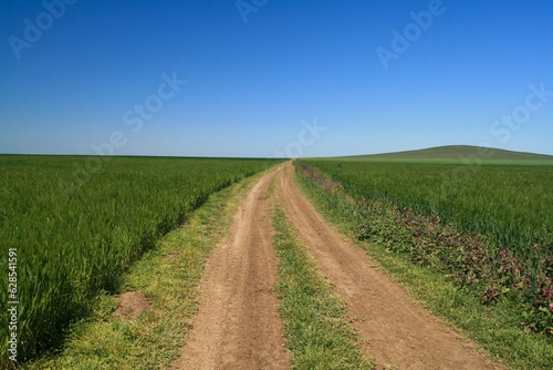 Dirt road among fields, Taman Peninsula, Russia.