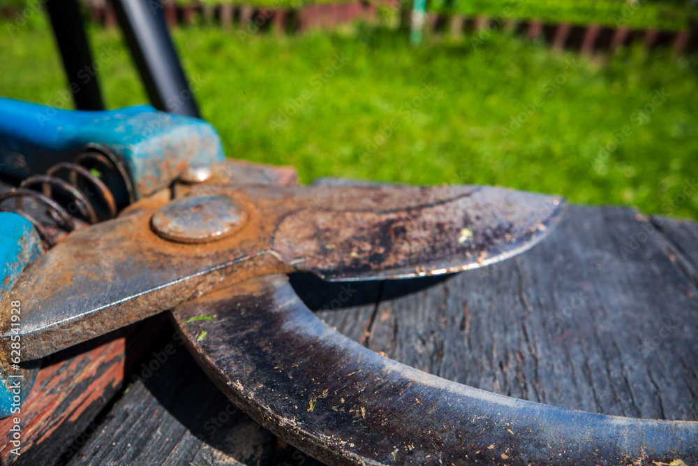 Farmer's garden tool - secateurs. Gardening concept. Agricultural work on the plantation Farmer's garden tool - secateurs. Gardening concept. Agricultural work on the plantation