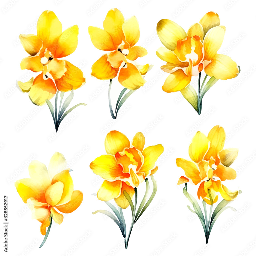 Set of yellow orchid floral watecolor. flowers and leaves. Floral poster, invitation floral. Vector arrangements for greeting card or invitation design	