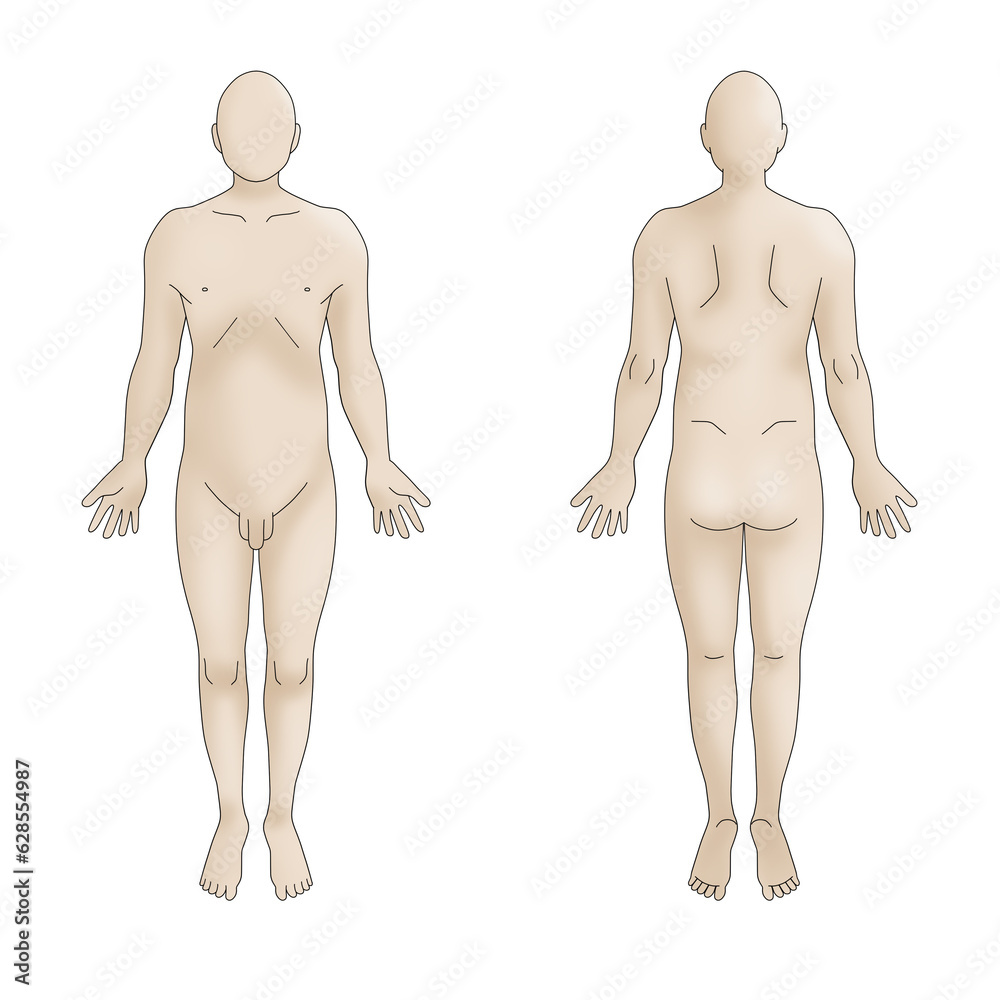 カルテ向け全身シェーマ図(男性) カルテ向け全身シェーマ図(男性)