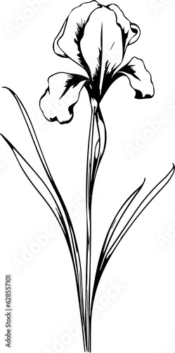 flower minimal style 