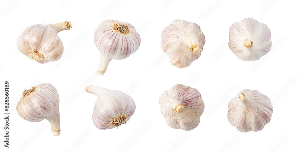 Fototapeta premium Garlic isolated. png file