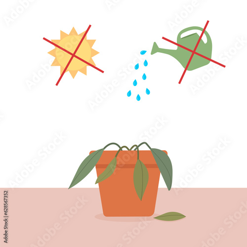A potted houseplant being cared for and a potted houseplant dying without care or watering. Vector illustration..