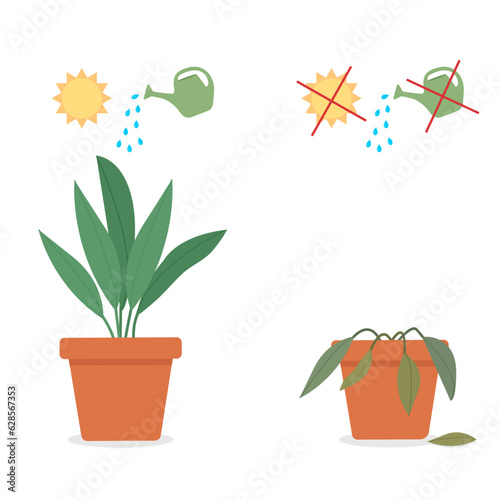 A potted houseplant being cared for and a potted houseplant dying without care or watering. Vector illustration..