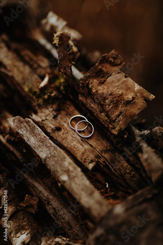 Hochzeitsringe auf Baum