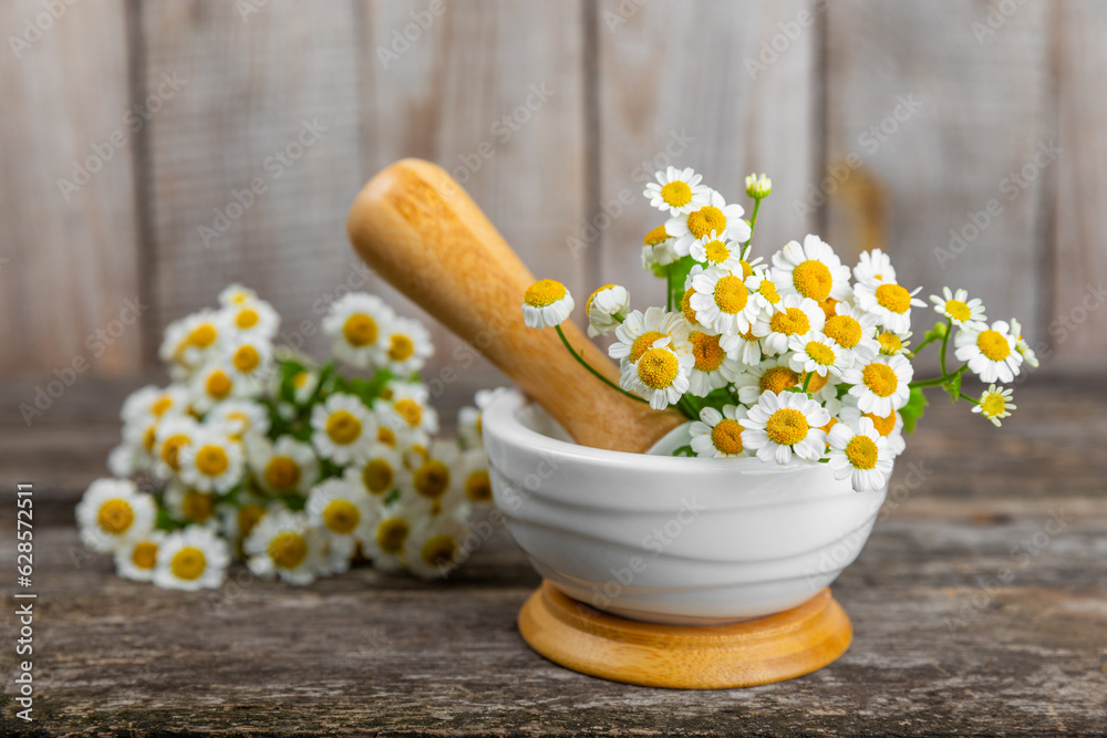 Chamomile flowers in mortar on a textured wooden table. Healing herbs. Alternative medicine. Healing. Homeopathy.Natural herbal organic cosmetics concept.Natural tea.Place for text. Copy space. Chamomile flowers in mortar on a textured wooden table. Healing herbs. Alternative medicine. Healing. Homeopathy.Natural herbal organic cosmetics concept.Natural tea.Place for text. Copy space.
