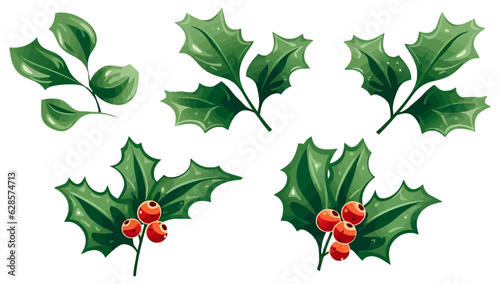 Christmas holly berry with leaves. Christmas plants. Christmas decorations.