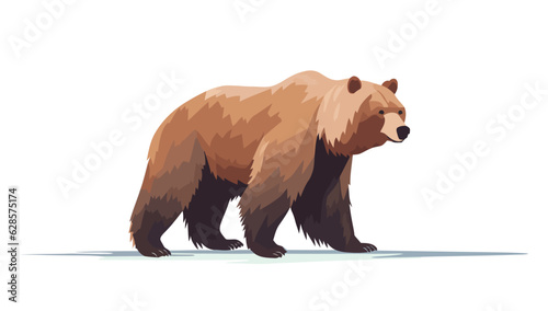 Grizzly bear. Image of a cute walking grizzly bear isolated on white. photo