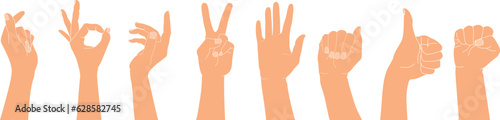 Set of raised human hands with different gestures. Isolated vector illustration of human hands