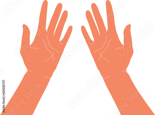 Top view on two hands, palms up. Vector illustration isolated on white background