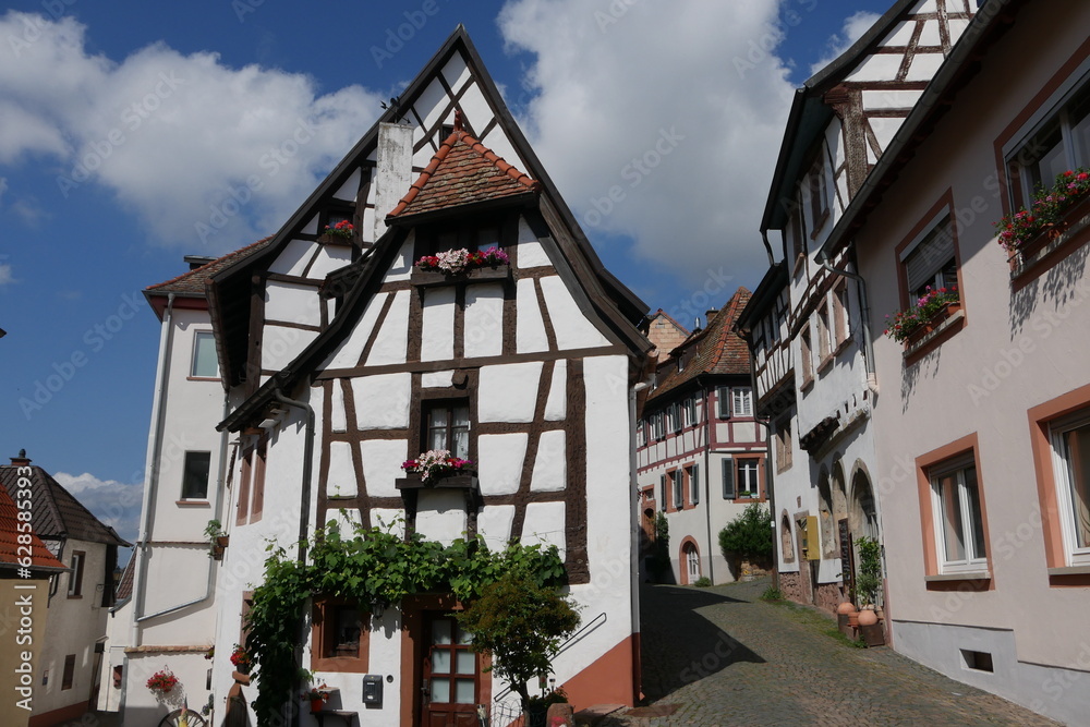 Naklejka premium Gasse mit Fachwerkhäusern in Neuleiningen