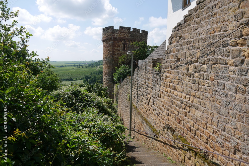 Stadtmauer von Neuleiningen