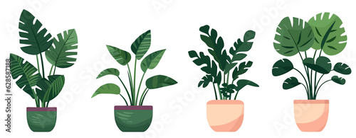 House green plants and flowers. Set of trendy indoor houseplants for decoration.