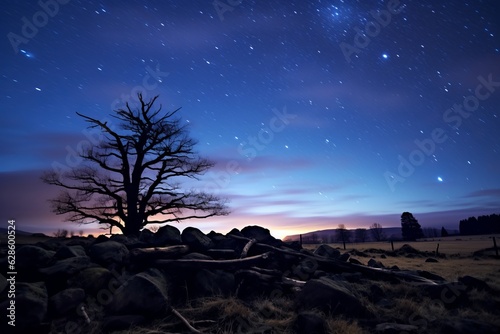 a lone tree stands in the middle of a field at night