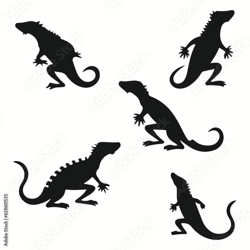 Gecko silhouettes and icons. Black flat color simple elegant Gecko animal vector and illustration. 