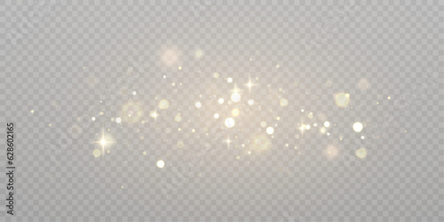Gold dust light bokeh. Christmas glowing bokeh and glitter overlay texture for your design on a transparent background. Golden particles abstract vector background.