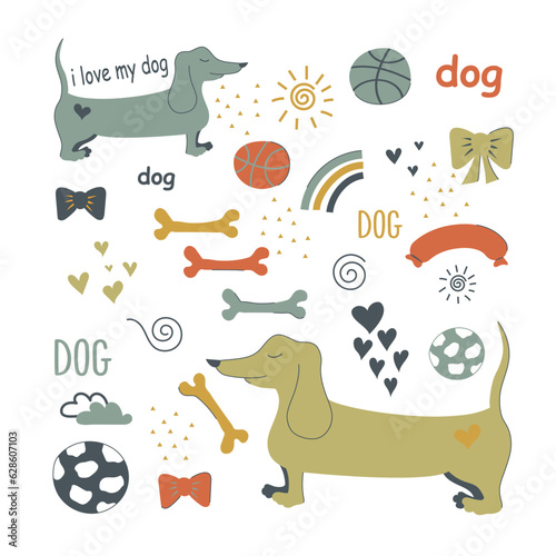 Dachshund and accessories for dogs. Vector illustration. Flat design. Hand-drawn