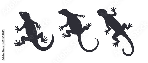 Gecko silhouette black filled vector Illustration © iamabduss