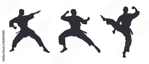 Martial art silhouette black filled vector Illustration