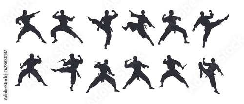 Fotografia Martial art silhouette black filled vector Illustration