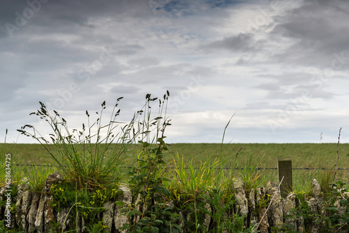 Scottish countryside landscape in the Highlands, Thurso, Scotland © fruttuoso