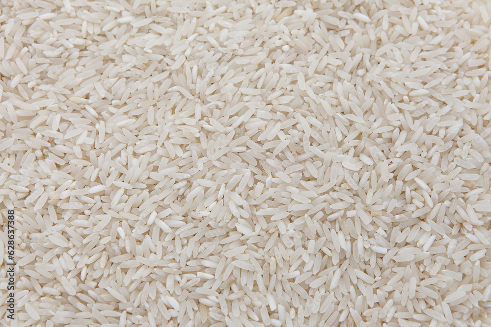Arroz blanco sin cocinar, Primer plano de granos de arroz blanco crudo. Uncooked white rice, Close-up of raw white rice grains Arroz blanco sin cocinar, Primer plano de granos de arroz blanco crudo. Uncooked white rice, Close-up of raw white rice grains