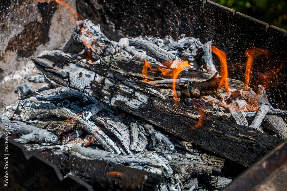 Coals in a campfire with fire Coals in a campfire with fire