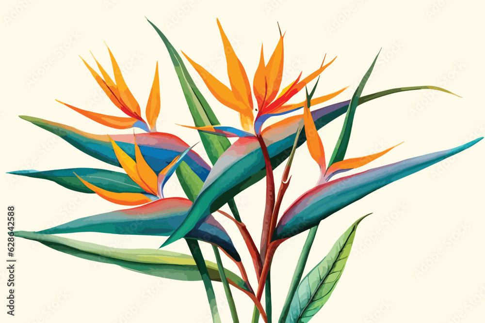 bird of paradise flower