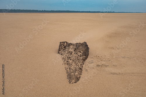 A stump embedded in the sand of an island on the lower Mississippi River photo