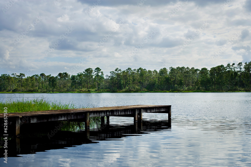 Fototapeta premium dock at the lake green trees