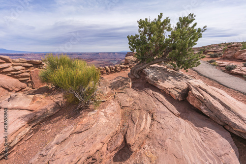 hiking the dead horse trail in dead horse point state park in utah, usa