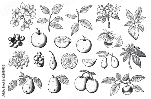 Hand drawn set of vegetable elements, carrot, salad, tomato, onion, lettuce, chili. Comic doodle sketch style. Vegetables element drawn by digital brush-pen. Vector illustration for icon