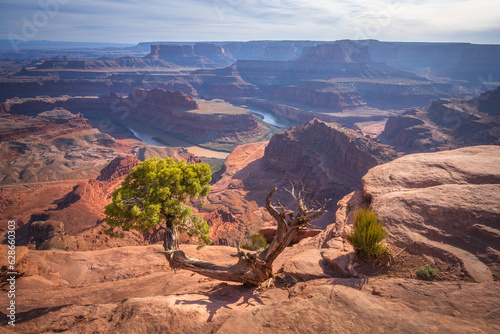 sunset at dead horse point in dead horse point state park, utah, usa © Christian B.