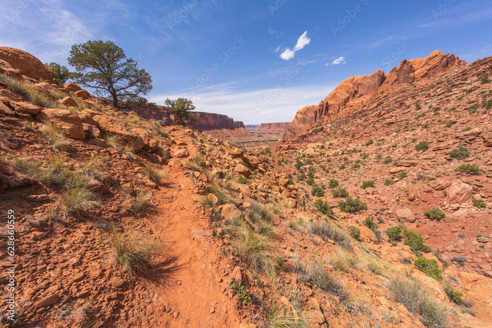 hiking the syncline loop trail in island in the sky district of canyonlands national park, utah, usa