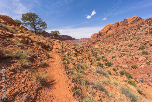 hiking the syncline loop trail in island in the sky district of canyonlands national park, utah, usa photo
