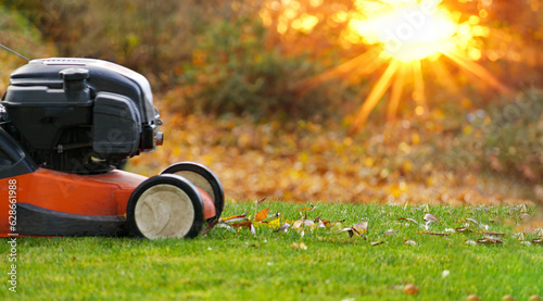 Autumn season, lawn mowing in the garden.