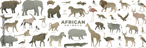 Photo African savannah animals set