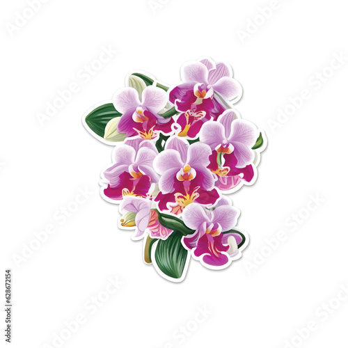 Beautiful orchid flowers bouquet  sticker and pink background, vector illustration
