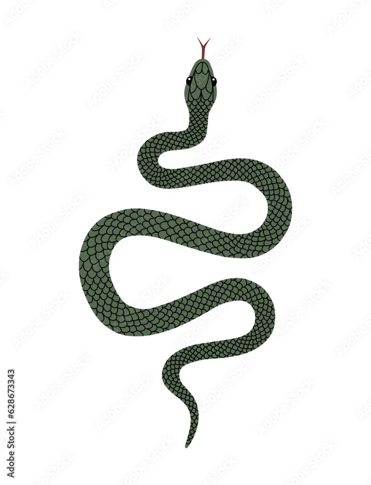 Vector hand-drawn illustration of green Snake top view. Isolated on white background Vector hand-drawn illustration of green Snake top view. Isolated on white background