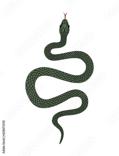 Vector hand-drawn illustration of green Snake top view. Isolated on white background