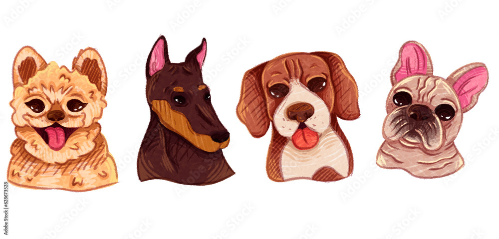 Colorful portraits of domestic thoroughbred animals. Illustrated selection of breeds of dogs. Fluffy heads on a white background. Collection for postcards, icons, sites, applications.