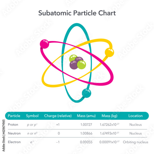 Subatomic Particle Chart educational vector illustration infographic