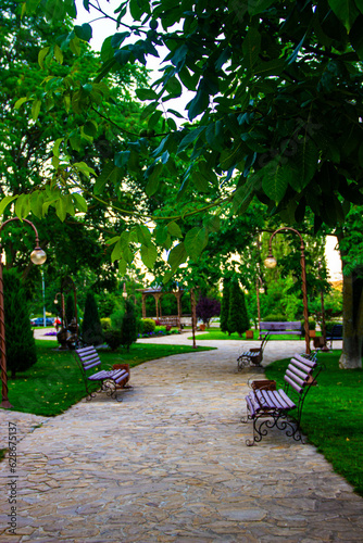 park bench in the park