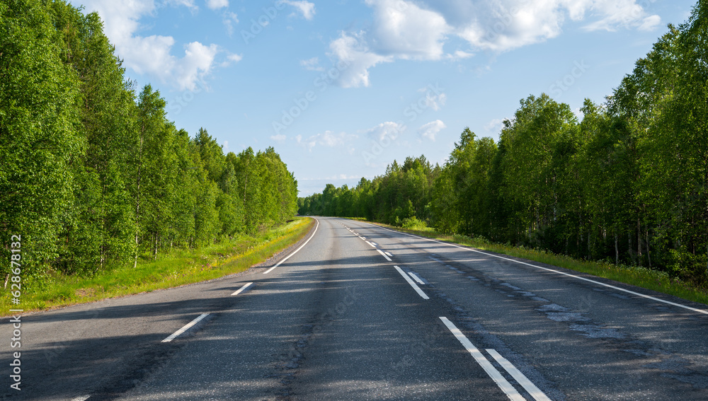 Fototapeta premium Empty asphalt road in the coniferous forest