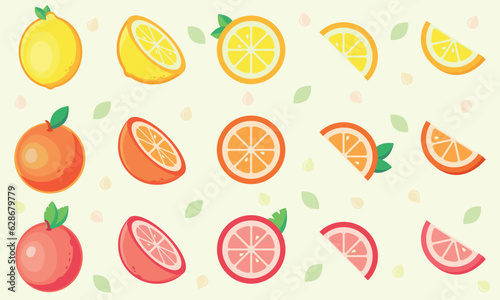 Fototapeta Naklejka Na Ścianę i Meble -  Set of citrus fruit. Vector collection of lemon, orange and grapefruit.