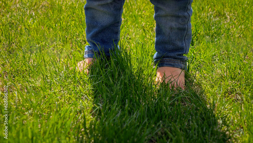 Closeup of little baby s feet in jeans standing on green grass lawn. Kids outdoors, children in nature, baby playing outside.
