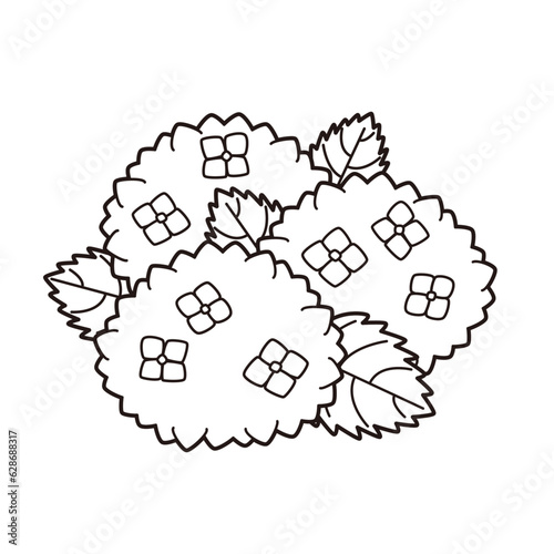 紫陽花のイラスト 3つ ぬりえ