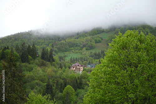 A beautiful large estate in the forest on a mountain, the top of which is covered in thick fog