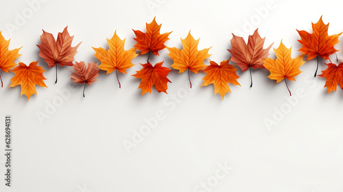 maple autumn leaves on a white background, copy space, banner