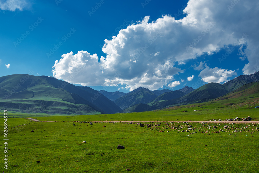 Picturesque landscape with mountain valley on a sunny summer day